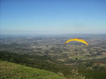 Araricá
