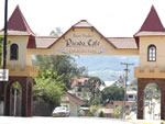 Picada Café