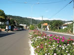 Rolante